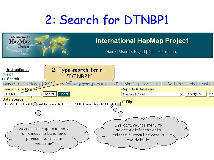 2: Search for DTNBP 1 2. Type search term – “DTNBP 1” Search for