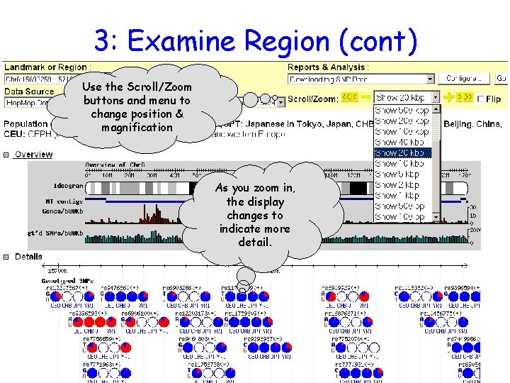 3: Examine Region (cont) Use the Scroll/Zoom buttons and menu to change position &