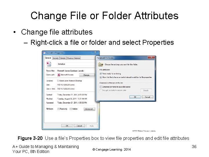 Change File or Folder Attributes • Change file attributes – Right-click a file or