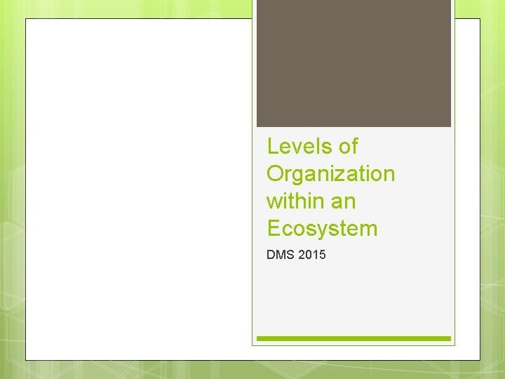 Levels of Organization within an Ecosystem DMS 2015 