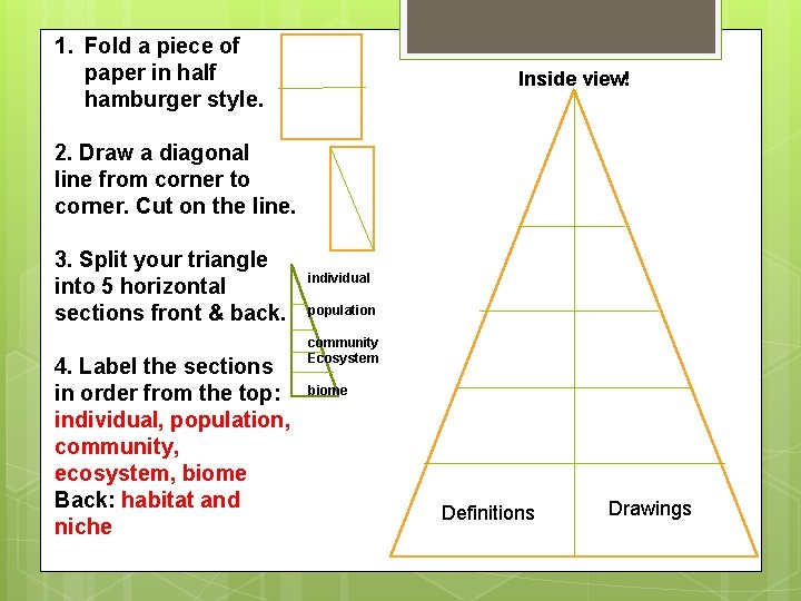 1. Fold a piece of paper in half hamburger style. Inside view! 2. Draw