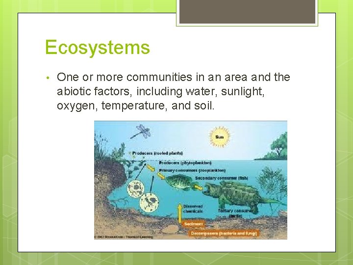 Ecosystems • One or more communities in an area and the abiotic factors, including