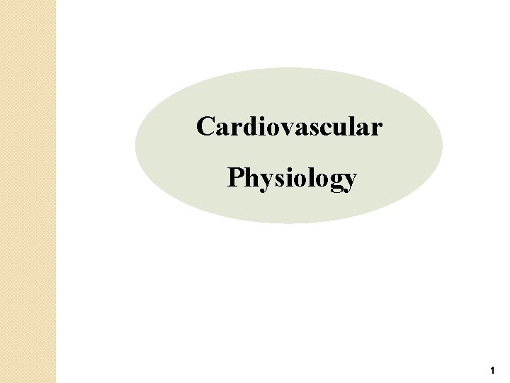 Cardiovascular Physiology 1 