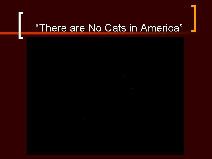 “There are No Cats in America” 