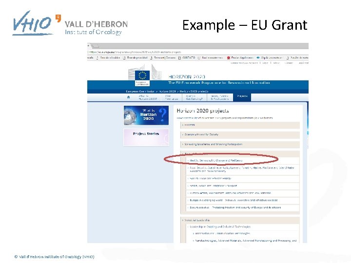 Example – EU Grant © Vall d'Hebron Institute of Oncology (VHIO) 