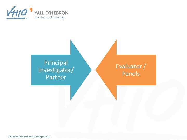 Principal Investigator/ Partner © Vall d'Hebron Institute of Oncology (VHIO) Evaluator / Panels 