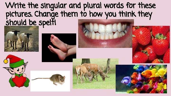 Write the singular and plural words for these pictures. Change them to how you