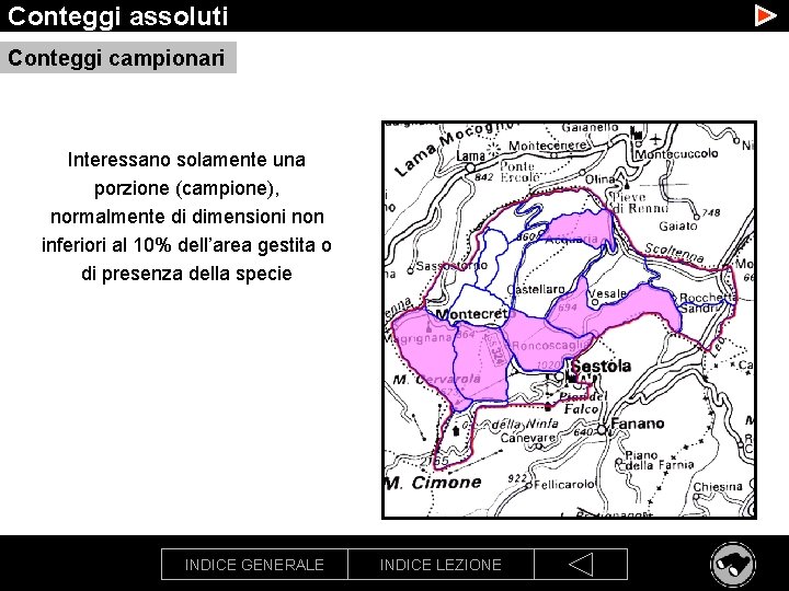 Conteggi assoluti Conteggi campionari Interessano solamente una porzione (campione), normalmente di dimensioni non inferiori