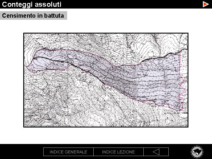 Conteggi assoluti Censimento in battuta INDICE GENERALE INDICE LEZIONE 