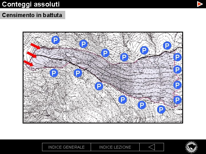 Conteggi assoluti Censimento in battuta P P P P INDICE GENERALE INDICE LEZIONE P