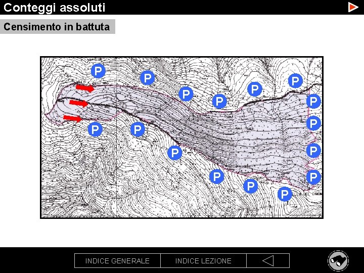 Conteggi assoluti Censimento in battuta P P P P INDICE GENERALE INDICE LEZIONE P