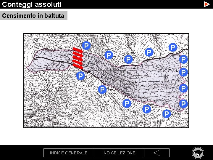 Conteggi assoluti Censimento in battuta P P P INDICE GENERALE INDICE LEZIONE P P