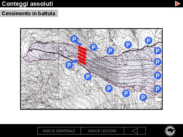 Conteggi assoluti Censimento in battuta P P P INDICE GENERALE INDICE LEZIONE P P