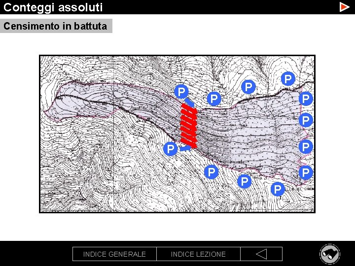 Conteggi assoluti Censimento in battuta P P P P P INDICE GENERALE INDICE LEZIONE