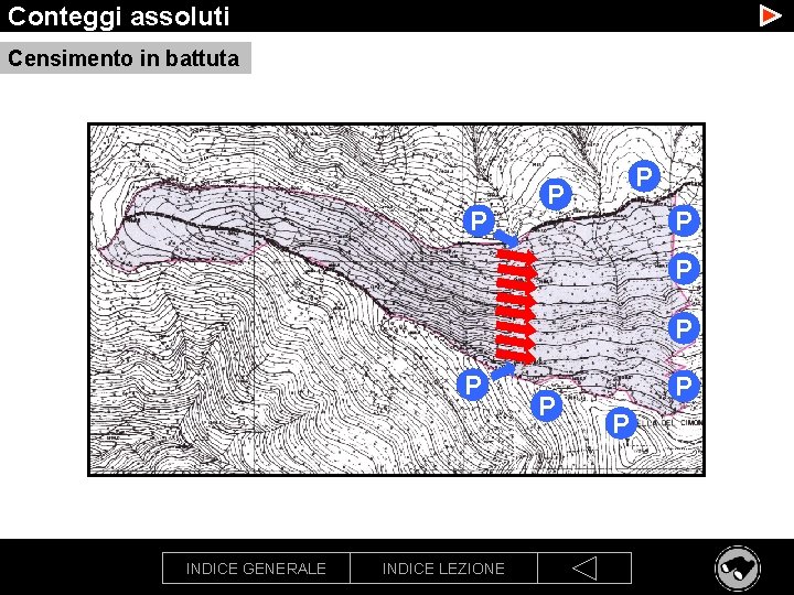 Conteggi assoluti Censimento in battuta P P P P INDICE GENERALE INDICE LEZIONE P