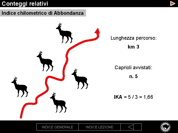 Conteggi relativi Indice chilometrico di Abbondanza Lunghezza percorso: km 3 Caprioli avvistati: n. 5