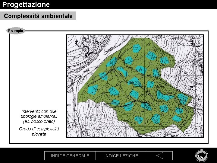 Progettazione Complessità ambientale Esempio Intervento con due tipologie ambientali (es. bosco-prato) Grado di complessità