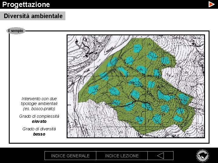 Progettazione Diversità ambientale Esempio Intervento con due tipologie ambientali (es. bosco-prato) Grado di complessità