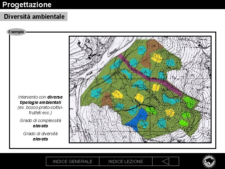 Progettazione Diversità ambientale Esempio Intervento con diverse tipologie ambientali (es. bosco-prato-coltivifrutteti ecc. ) Grado