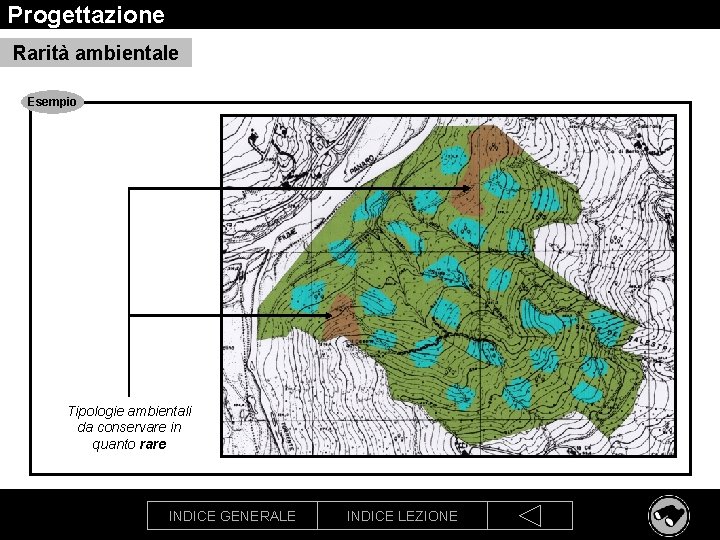 Progettazione Rarità ambientale Esempio Tipologie ambientali da conservare in quanto rare INDICE GENERALE INDICE