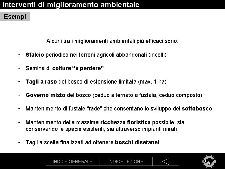 Interventi di miglioramento ambientale Esempi Alcuni tra i miglioramenti ambientali più efficaci sono: •