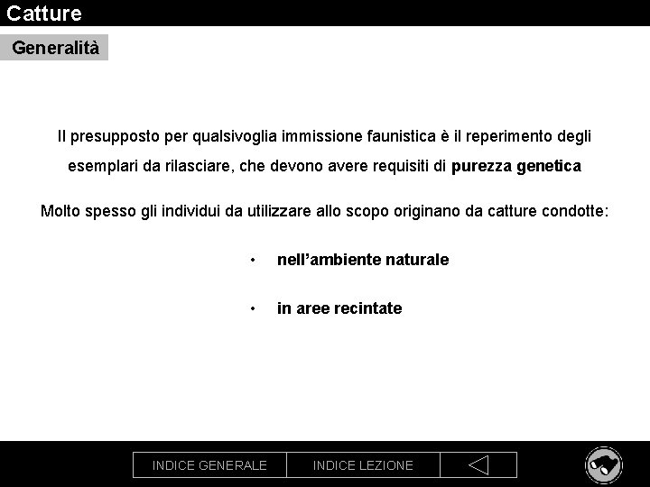 Catture Generalità Il presupposto per qualsivoglia immissione faunistica è il reperimento degli esemplari da