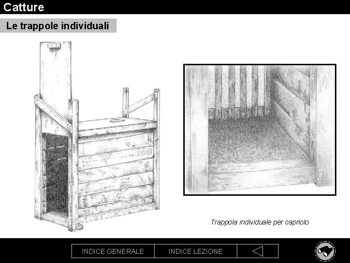 Catture Le trappole individuali Trappola individuale per capriolo INDICE GENERALE INDICE LEZIONE 