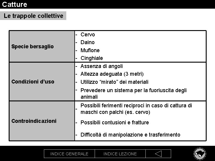 Catture Le trappole collettive Specie bersaglio Condizioni d’uso - Controindicazioni Cervo Daino Muflone Cinghiale