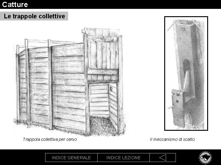 Catture Le trappole collettive Trappola collettiva per cervo INDICE GENERALE Il meccanismo di scatto