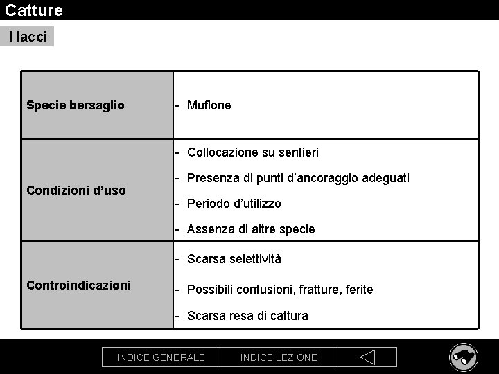 Catture I lacci Specie bersaglio - Muflone - Collocazione su sentieri Condizioni d’uso -