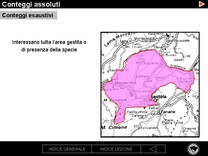 Conteggi assoluti Conteggi esaustivi Interessano tutta l’area gestita o di presenza della specie INDICE