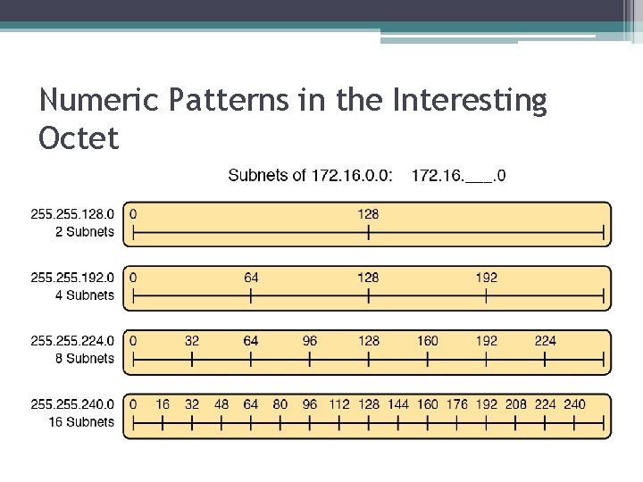 Numeric Patterns in the Interesting Octet 