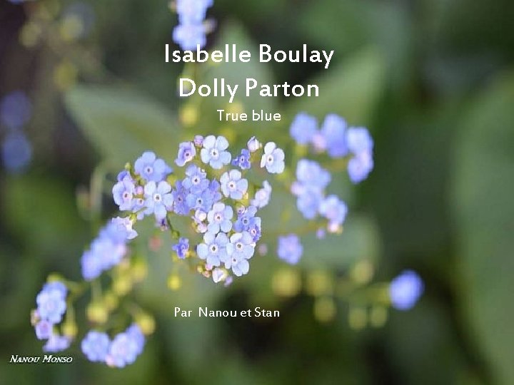 Isabelle Boulay Dolly Parton True blue Par Nanou et Stan 