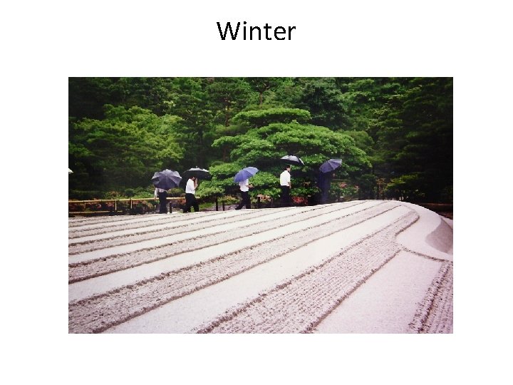 Winter Winter
