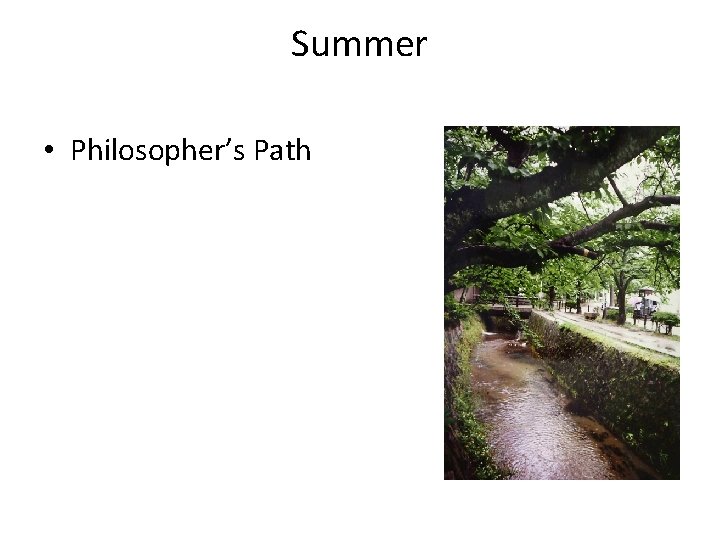 Summer • Philosopher’s Path Summer • Philosopher’s Path