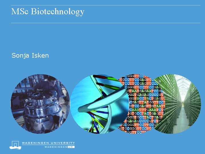 MSc Biotechnology Sonja Isken 