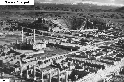 Timgad – Thamugadi (SHD) 