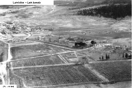 Lambèse – Lambaesis (Pierre Morizot) 