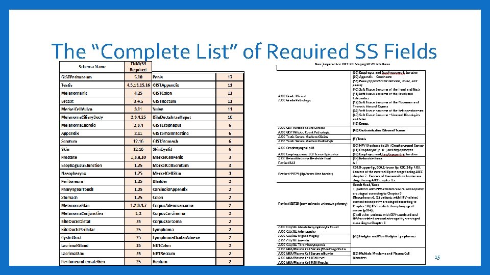 The “Complete List” of Required SS Fields 15 