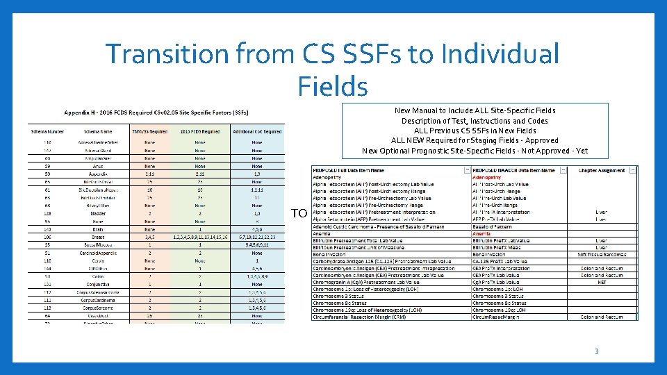 Transition from CS SSFs to Individual Fields New Manual to Include ALL Site-Specific Fields