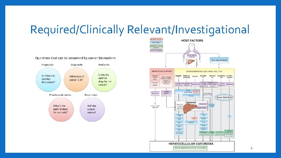 Required/Clinically Relevant/Investigational 4 