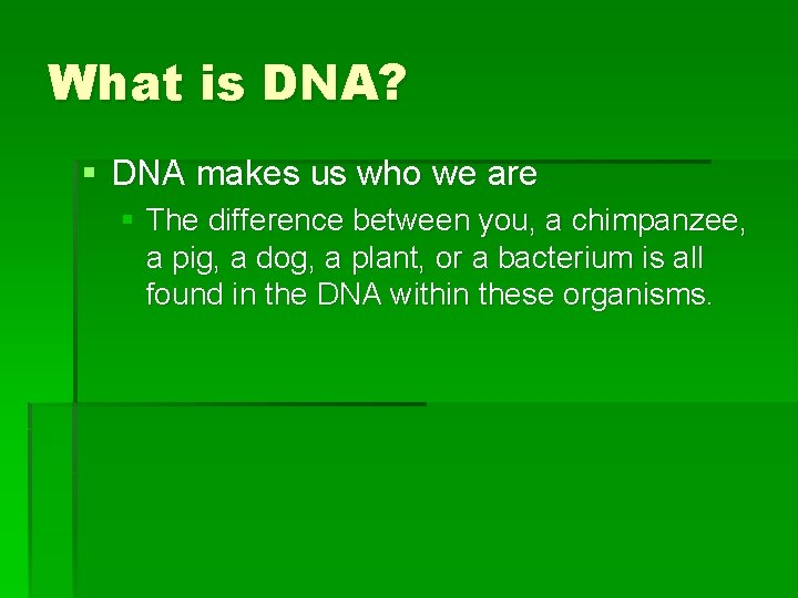 What is DNA? § DNA makes us who we are § The difference between