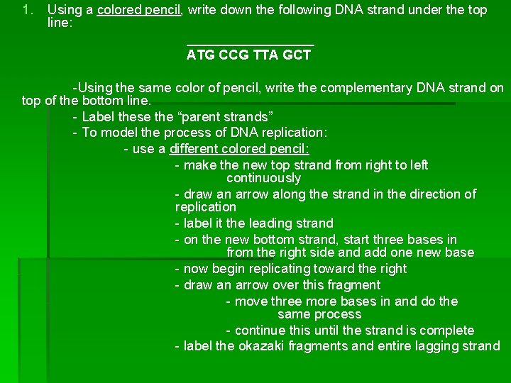 1. Using a colored pencil, write down the following DNA strand under the top