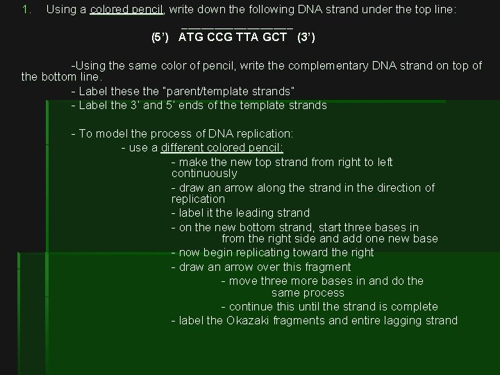 1. Using a colored pencil, write down the following DNA strand under the top