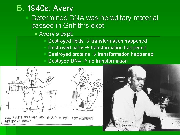 B. 1940 s: Avery § Determined DNA was hereditary material passed in Griffith’s expt.
