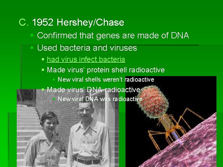 C. 1952 Hershey/Chase § Confirmed that genes are made of DNA § Used bacteria