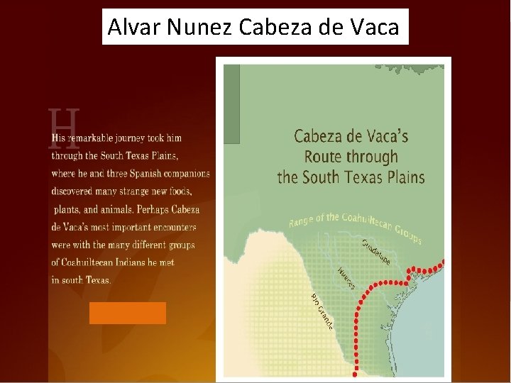 Alvar Nunez Cabeza de Vaca 