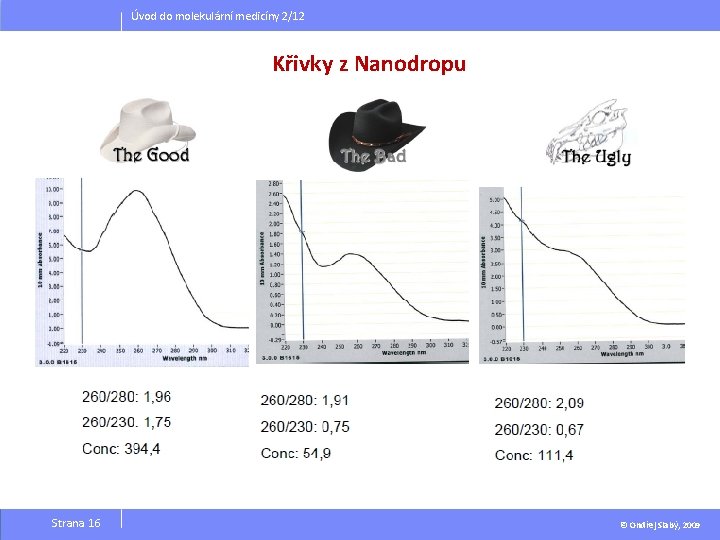 Úvod do molekulární medicíny 2/12 Křivky z Nanodropu Strana 16 © Ondřej Slabý, 2009