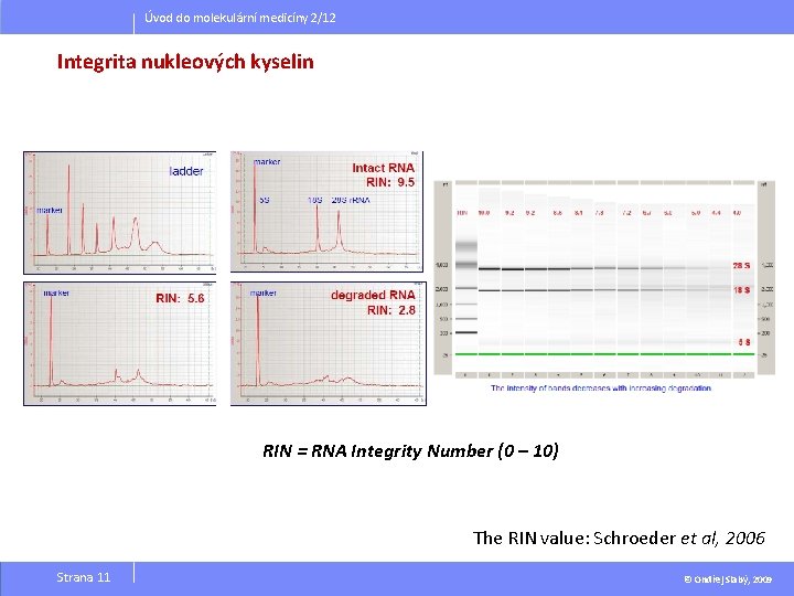 Úvod do molekulární medicíny 2/12 Integrita nukleových kyselin RIN = RNA Integrity Number (0