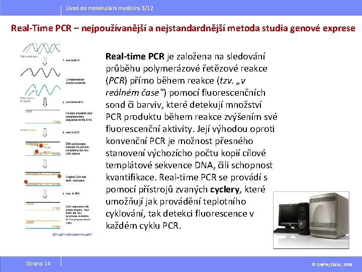 Úvod do molekulární medicíny 3/12 Real-Time PCR – nejpoužívanější a nejstandardnější metoda studia genové